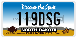 119DSG  license plate in ND