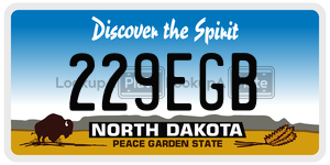 229EGB  license plate in ND