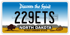 229ETS  license plate in ND