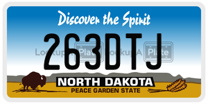 263DTJ  license plate in ND