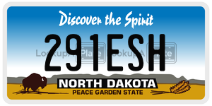 291ESH  license plate in ND