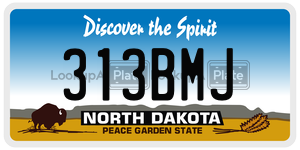 313BMJ  license plate in ND