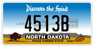 4513B  license plate in ND