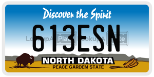 613ESN  license plate in ND