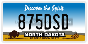 875DSD  license plate in ND