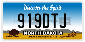 919DTJ  license plate in ND