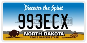 993ECX license plate in North Dakota