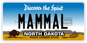 MAMMAL  license plate in ND