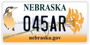 045AR  license plate in NE