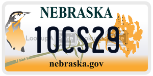 10CS29  license plate in NE
