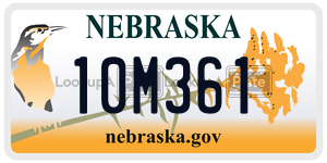 10M361  license plate in NE