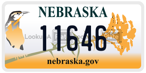 11646  license plate in NE