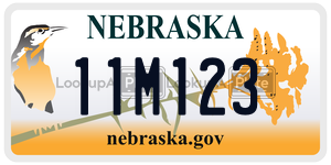 11M123  license plate in NE