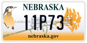 11P73  license plate in NE