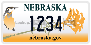 1234  license plate in NE