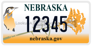 12345  license plate in NE