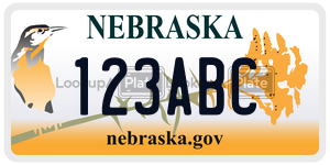 123ABC  license plate in NE