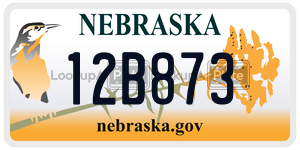 12B873  license plate in NE