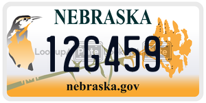 12G459  license plate in NE