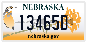13465D  license plate in NE