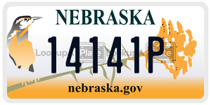14141P  license plate in NE