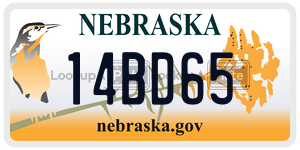 14BD65  license plate in NE