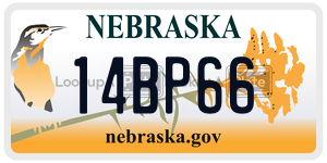 14BP66  license plate in NE