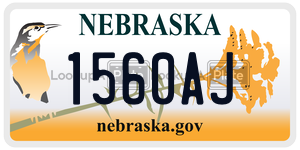 15-60AJ  license plate in NE