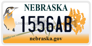 1556AB  license plate in NE
