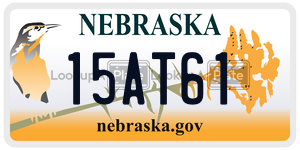 15AT61  license plate in NE