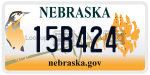 15B424  license plate in NE