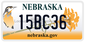 15BC36  license plate in NE