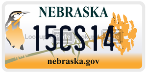 15CS14  license plate in NE