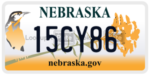 15CY86  license plate in NE