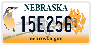 15E256  license plate in NE