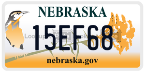 15EF68  license plate in NE