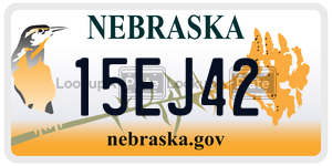 15EJ42  license plate in NE