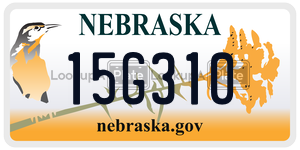 15G310  license plate in NE