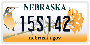 15S142  license plate in NE