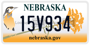 15V934  license plate in NE
