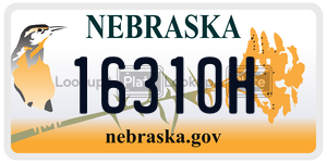 16310H  license plate in NE