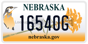 16540G  license plate in NE