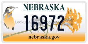 16972  license plate in NE