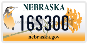 16S300  license plate in NE