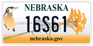 16S61  license plate in NE