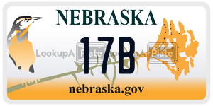 17B  license plate in NE