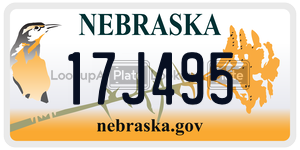 17J495  license plate in NE