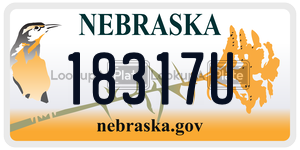 18317U  license plate in NE