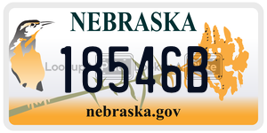 18546B  license plate in NE