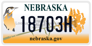 18703H  license plate in NE